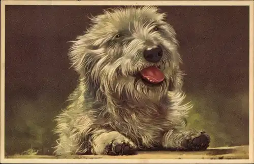 Künstler Ak Hund, Porträt, Nahaufnahme