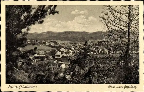 Ak Ellrich Harz Thüringen, Blick vom Gipsberg
