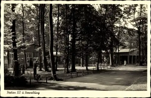 Ak Bad Rothenfelde am Teutoburger Wald, Waldkrankenhaus, Station III und Verwaltung