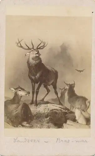 Künstler CDV Landseer, Edwin, Scene in Braemar, röhrender Hirsch, Rehe