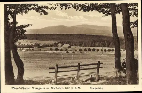 Ak Hohegeiß Braunlage im Oberharz, Brockenblick