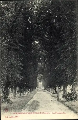 Ak Villeneuve L'Archevêque Yonne, Les Promenades