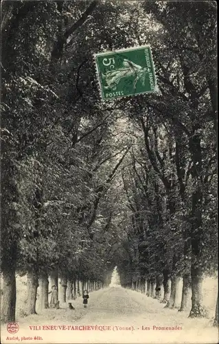 Ak Villeneuve L'Archevêque Yonne, Les Promenades