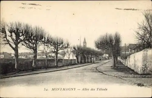 Ak Montmagny Val d’Oise, Allee des Tilleuls