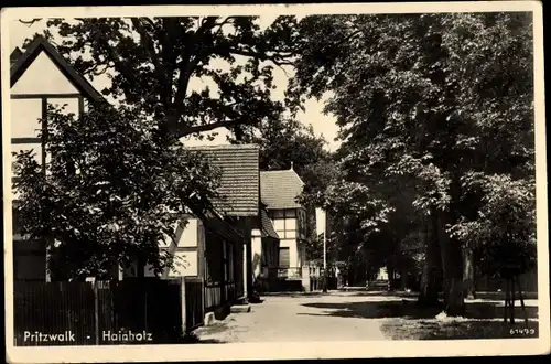 Ak Pritzwalk in der Prignitz, Hainholz