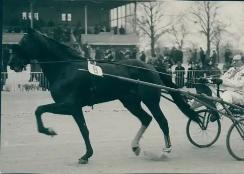 Foto Pferderennbahn Grunewald, Trabrenngespann, Das Sportbild v. Freund, Heinz Freund Charlottenburg