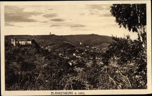 Ak Blankenburg am Harz, Panorama