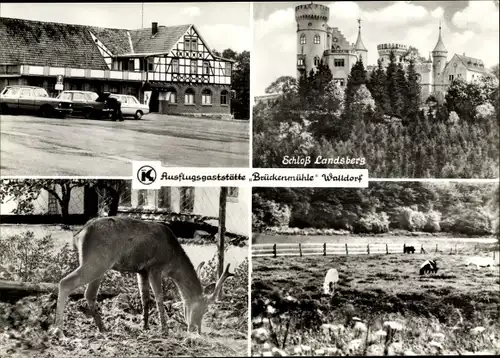 Ak Walldorf Thüringen, Schloss Landsberg
