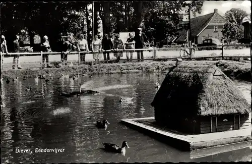 Ak Diever Drenthe Niederlande, Eendenvijver