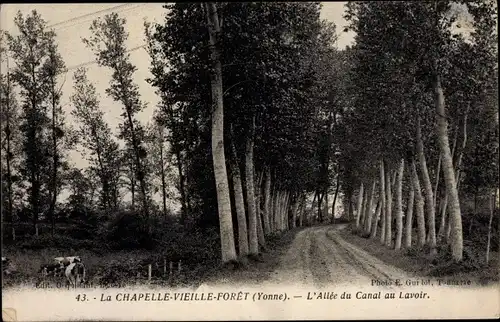 Ak La Chapelle-Vieille-Forêt Yonne, Allée du Canal au Lavoir