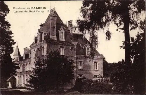 Ak Salbris Loir et Cher, Château du Mont Evray