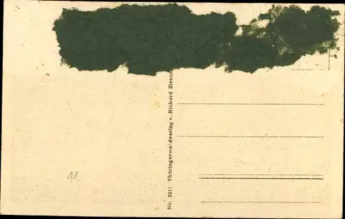 Ak Ilmenau in Thüringen, Panorama