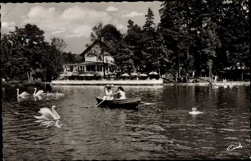 Ak Bad Wörishofen im Unterallgäu, Terrassen Cafe und Strandbad, Ruderboot, Schwäne