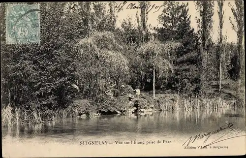 Ak Seignelay Yonne, Vue sur l´Étang prise du Parc