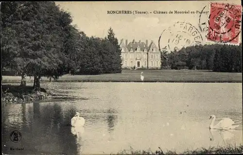 Ak Ronchères Yonne, Château de Montréal en Puisaye, Cygnes sur l´Étang