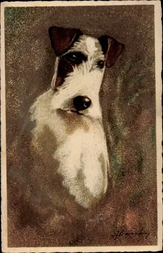 Künstler Ak Fox Terrier, Hundeportrait