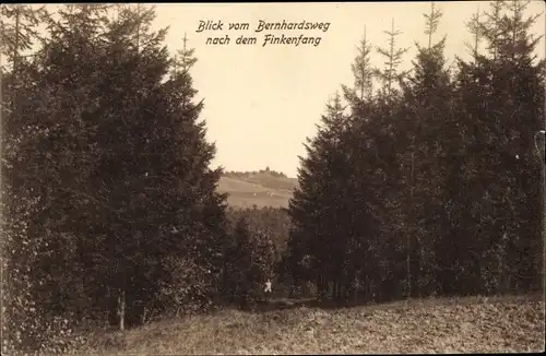 Ak Kreischa bei Dresden, Blick vom Bernhardsweg nach dem Finkenfang