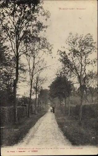 Ak Mirecourt Lothringen Vosges, Promenade au Bois du Four