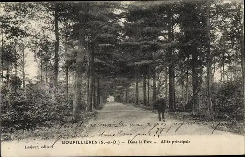 Ak Goupillières Yvelines, Dans le Parc, Allée Principale