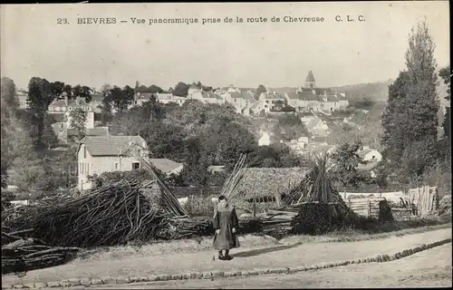 Ak Bièvres Essonne, Vue Panoramique prise de la Route de la Chevreuse