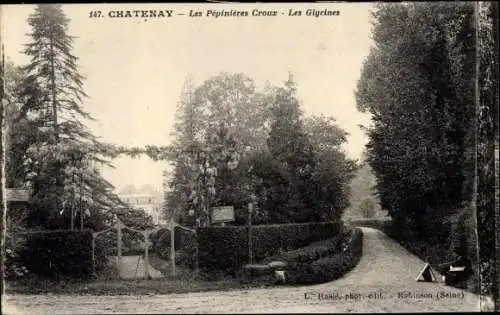 Ak Chatenay Hauts-de-Seine, Pépinières Croux, Les Glycines