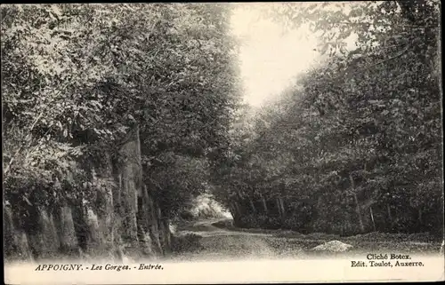 Ak Appoigny Yonne, Les Gorges, Entrée