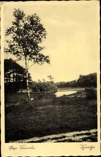 Ak Lage Vuursche Baarn Utrecht Niederlande, Landschaft