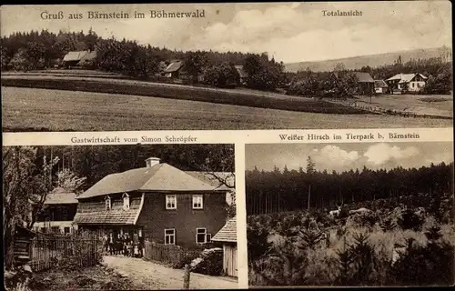 Ak Ulrichsberg in Oberösterreich, Berg Bärenstein im Böhmerwald, Gastwirtschaft Simon Schröpfer