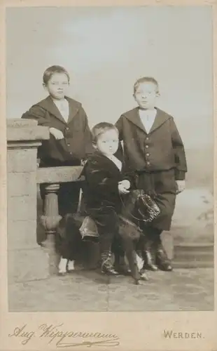 CdV Kinder mit Spielzeugpferd, Portrait, Fotograf Aug. Wippermann Werden