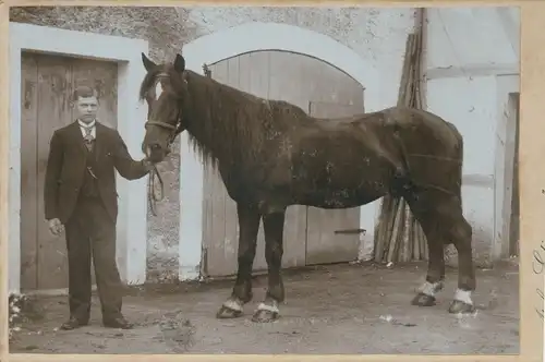 Kabinett Foto Dresden Albertstadt, Mann mit Pferd vor einem Pferdestall, Portrait, Atelier Etienne