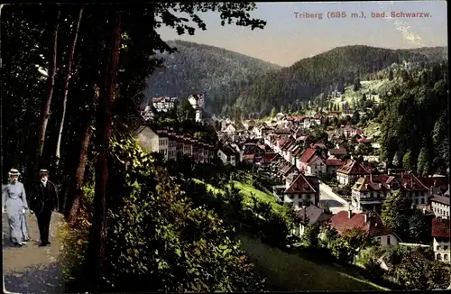 Ak Triberg im Schwarzwald, Teilansicht, Wegepartie