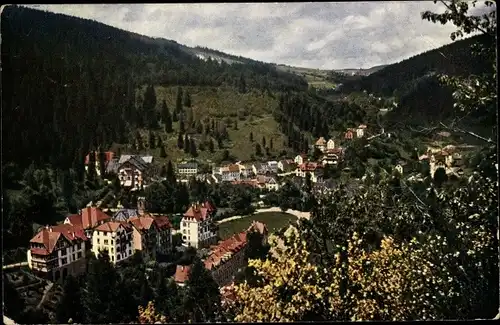 Ak Triberg im Schwarzwald, Teilansicht