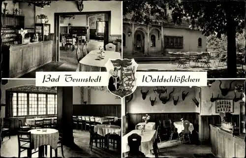 Ak Bad Tennstedt im Thüringer Becken, Waldschlösschen, Innenansichten, Gartenterrasse