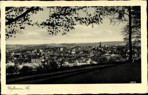 Ak Roßwein in Sachsen, Panorama
