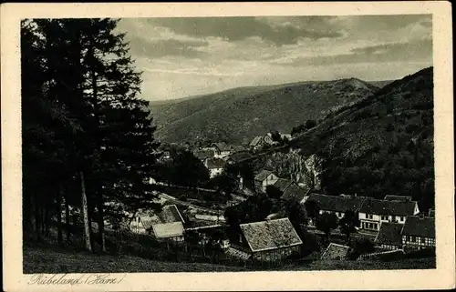 Ak Rübeland Oberharz am Brocken, Teilansicht