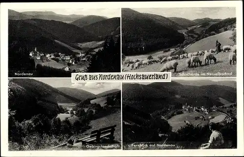 Ak Nordenau Schmallenberg im Sauerland, Teilansicht, Schafherde, Gebirge