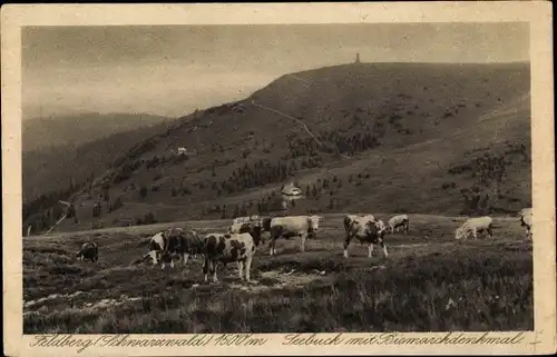 Ak Feldberg im Schwarzwald, Seebuck mit Bismarckdenkmal, Kuhherde