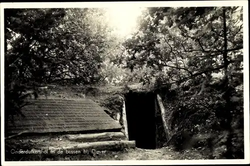 Foto Ak Diever Drenthe Niederlande, Onderduikershol in de bossen