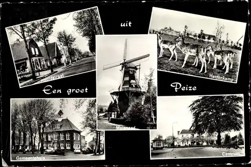 Ak Peize Drenthe Niederlande, Hoofdstraat, Hertenkamp, Centrum, Gemeentehuis