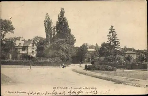 Ak Le Vésinet Yvelines, Avenue de la Marguerite