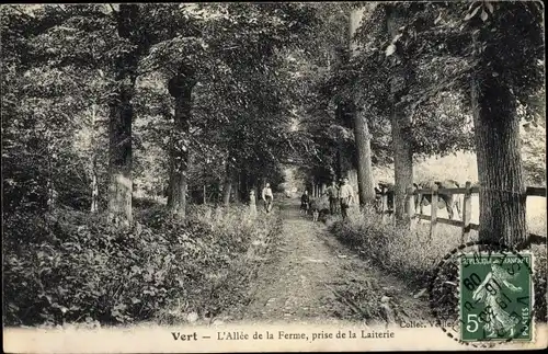 Ak Vert Yvelines, Allée de la Ferme prise de la Laiterie