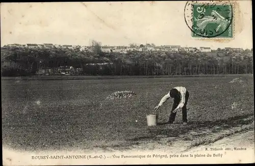 Ak Boussy Saint Antoine Essonne, Vue Panoramique de Perigny