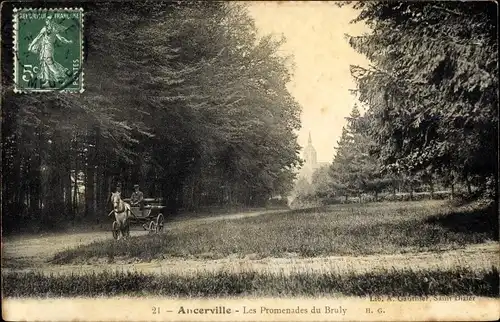 Ak Ancerville Meuse, Les Promenades du Bruly, Kutsche