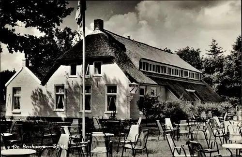 Ak Dwingeloo Drenthe Niederlande, Hotel De Boshoeve, Restaurant de Davidshoeve