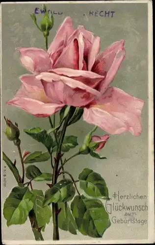 Präge Litho Glückwunsch Geburtstag, Rosenblüte, Knospen