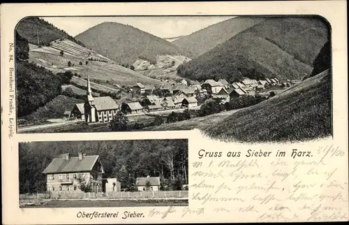 Ak Sieber Herzberg am Harz, Panorama vom Ort, Oberförsterei