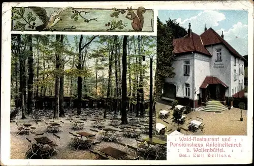 Ak Wolfenbüttel in Niedersachsen, Waldrestaurant u. Pensionshaus Antoinettenruh, Garten