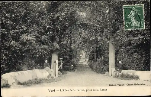 Ak Vert Yvelines, Allée de la Ferme prise de la Route