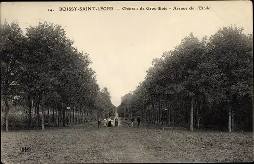 Ak Boissy Saint Leger Val de Marne, Château de Gros Bois, Avenue de l´Étoile