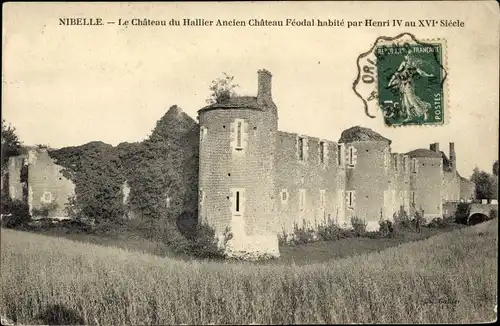 Ak Nibelle Loiret, Château du Hallier